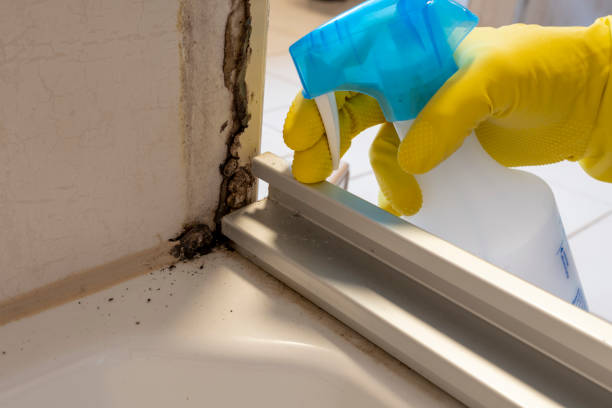 Best Air Quality Testing for Mold Spores  in Mclean, TX